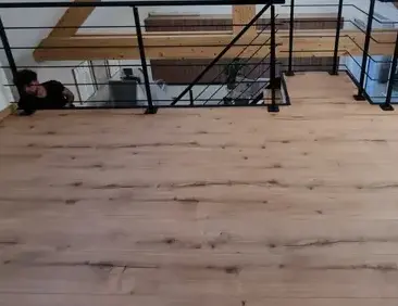 plaquiste Montmartin-sur-Mer-1